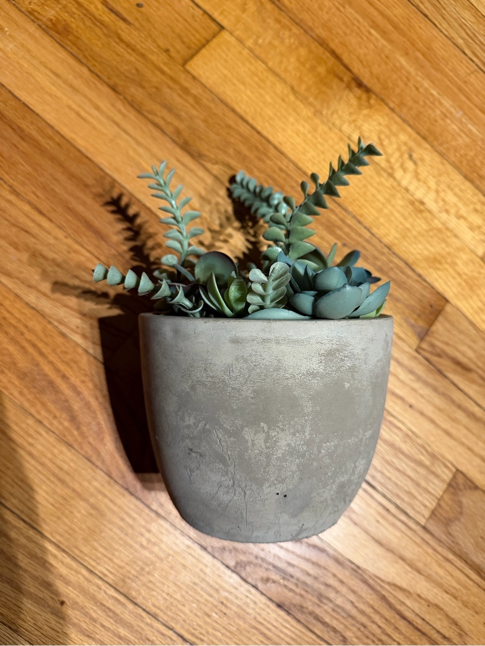 Minimalist Concrete Planter Succulents grasses artificial greenery pot brutalist